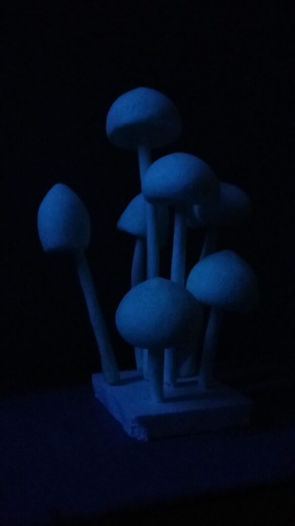 blue mushrooms 01 by Thanasis Giotakis